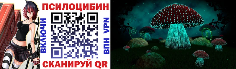 kraken вход  Воскресенск  Псилоцибиновые грибы мицелий 